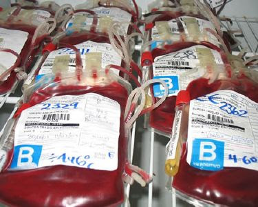 En 10 años, los donantes voluntarios de sangre aumentaron un 900 por ciento