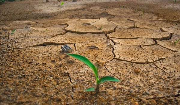 Cambio climático en la Argentina: Un camino inevitable hacia la vulnerabilidad de la producción del campo
