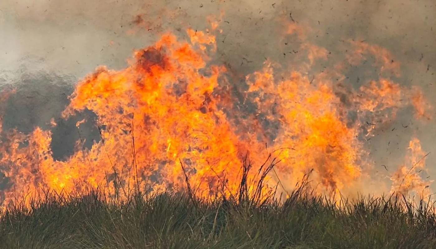 Preocupación por los incendios en San Luis y Córdoba