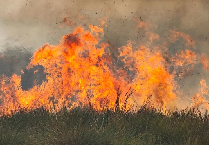 Corrientes: crecen las preocupaciones por los incendios y la falta de lluvias