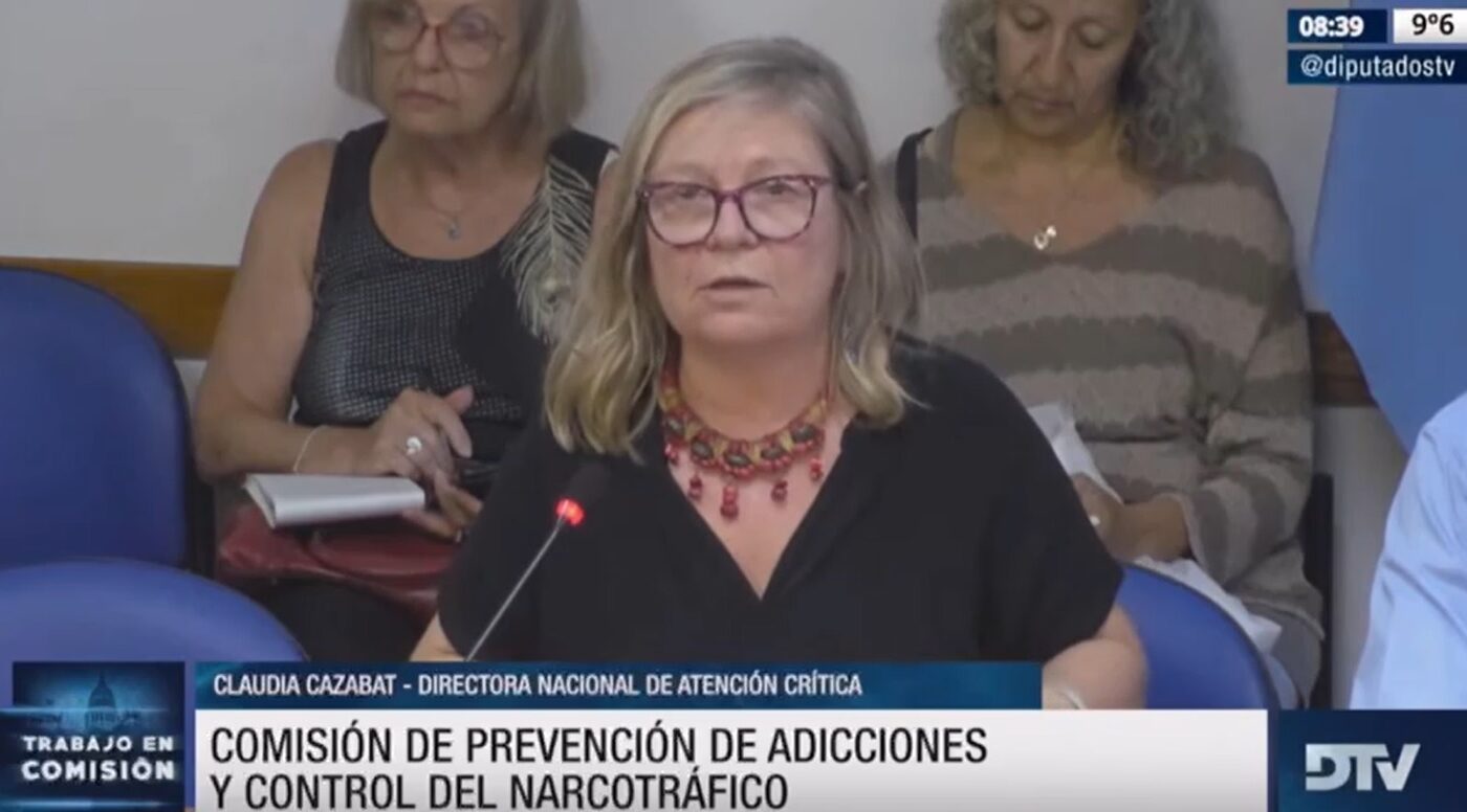 Diputados: organizaciones y expertos discutieron en comisión la situación actual de la ley sobre salud mental