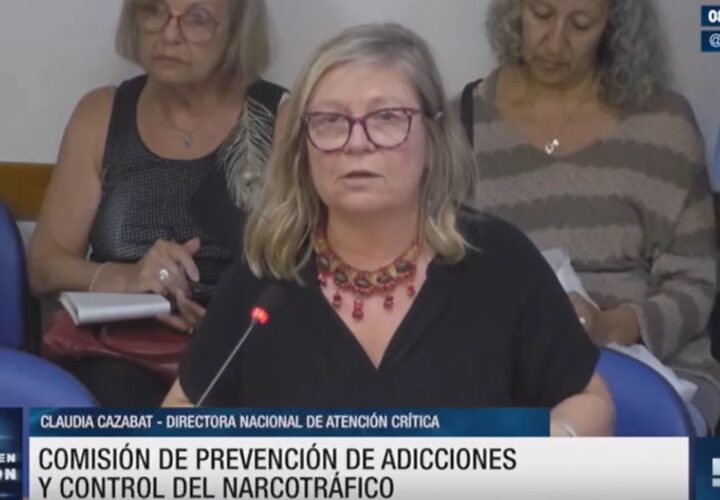 Diputados: organizaciones y expertos discutieron en comisión la situación actual de la ley sobre salud mental